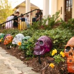 3-Skulls 3-Skulls
