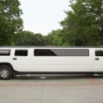 3-Limo