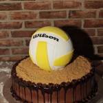 36-Volleyball Groom's Cake