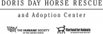 Doris-Day-Horse-Rescue