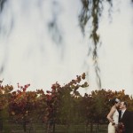 17-Wedding, Cornerstone Gardens