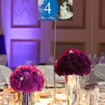 8-Gala, Adolphus HOtel