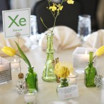 11-Green & Yellow Wedding, Quirky Wedding, Science Wedding