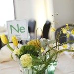 12-Green & Yellow Wedding, Science Wedding