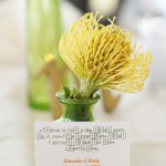 13-Green & Yellow Wedding, Science Wedding