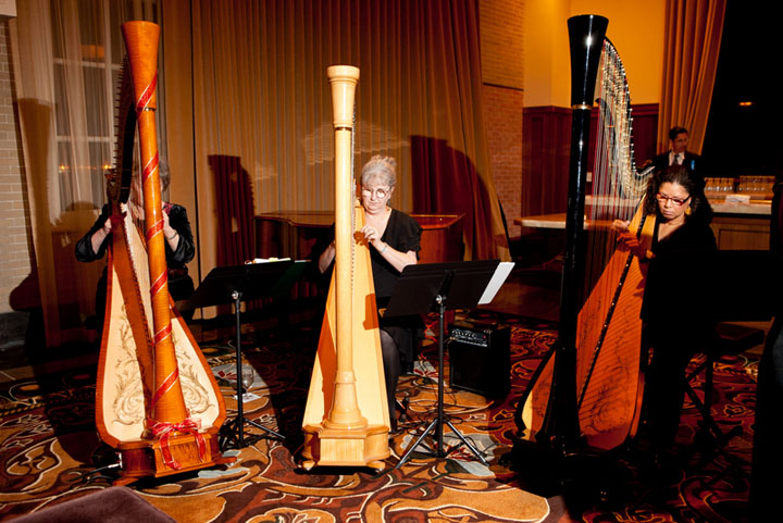 20 Charity Gala Entertainment Harpist