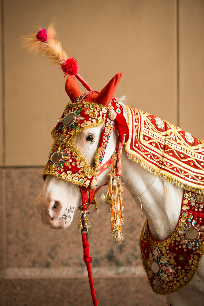 11 Indian Wedding Baraat